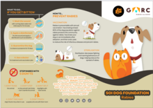 Rabies brochure thumbnail