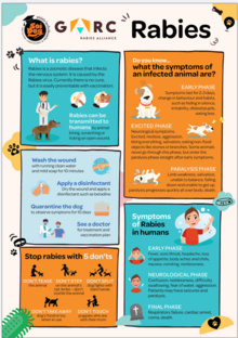 Rabies poster thumbnail