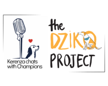 Kerenza Chats and The Dziko Project logos