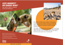 Rabies advice for travelers brochure thumbnail