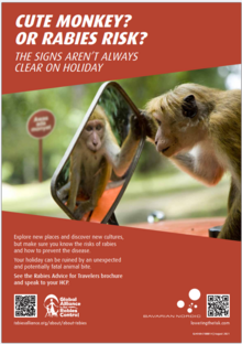 Rabies advice for travelers poster thumbnail