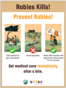 Rabies outreach poster thumbnail