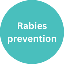 Rabies prevention