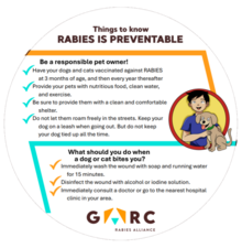 Rabies prevention fan thumbnail