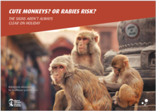 Rabies travelers awareness booklet for healthcare professionals thumbnail