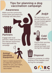 Tips for planning dog vaccinations