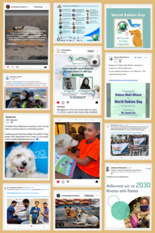 World Rabies Day 2022 event collage