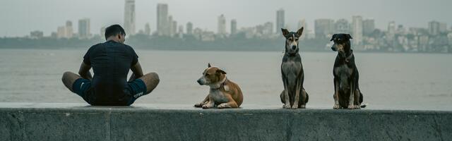 Communities Against Rabies banner