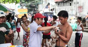 Site de vaccination pour les chiens aux Philippines, 2016. © Geloy Conception and GARC