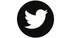 Twitter logo vector