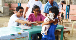 Ilocos Norte GARC project: Boy taking dog for vaccination