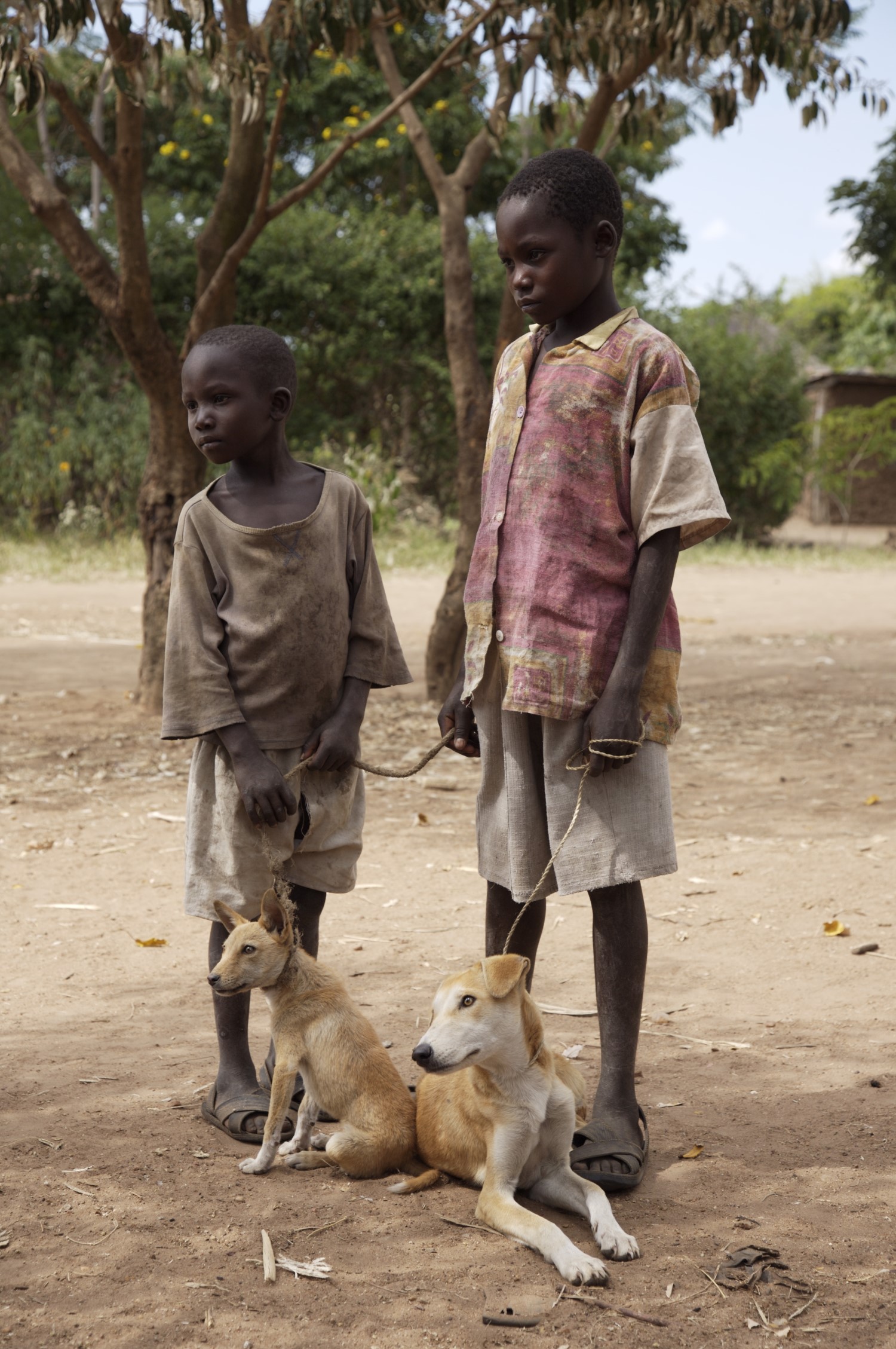 Boys wait with their dogs on leashes at a vaccination site. GARC