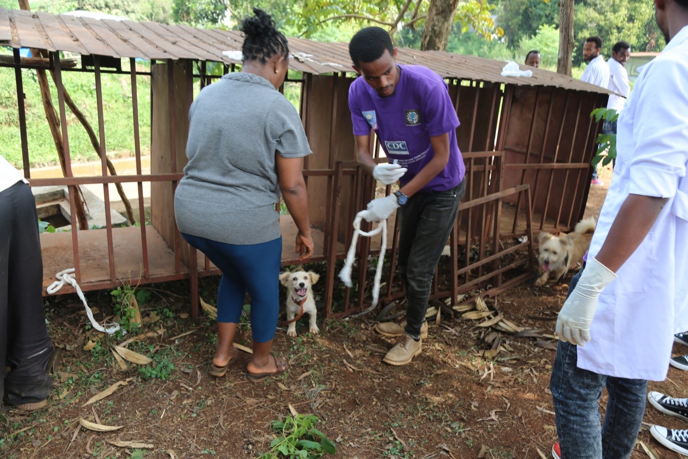 Beyond Students for Change vaccinate dogs in communities against rabies. 