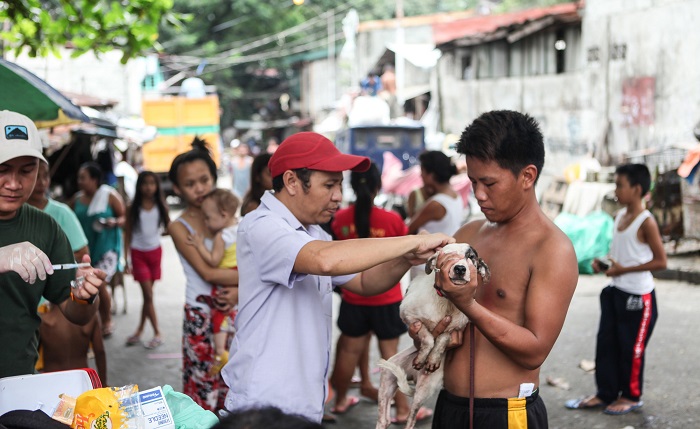 Dog vaccination station in The Philippines, 2016. Photo: Gelroy Conception  and GARC